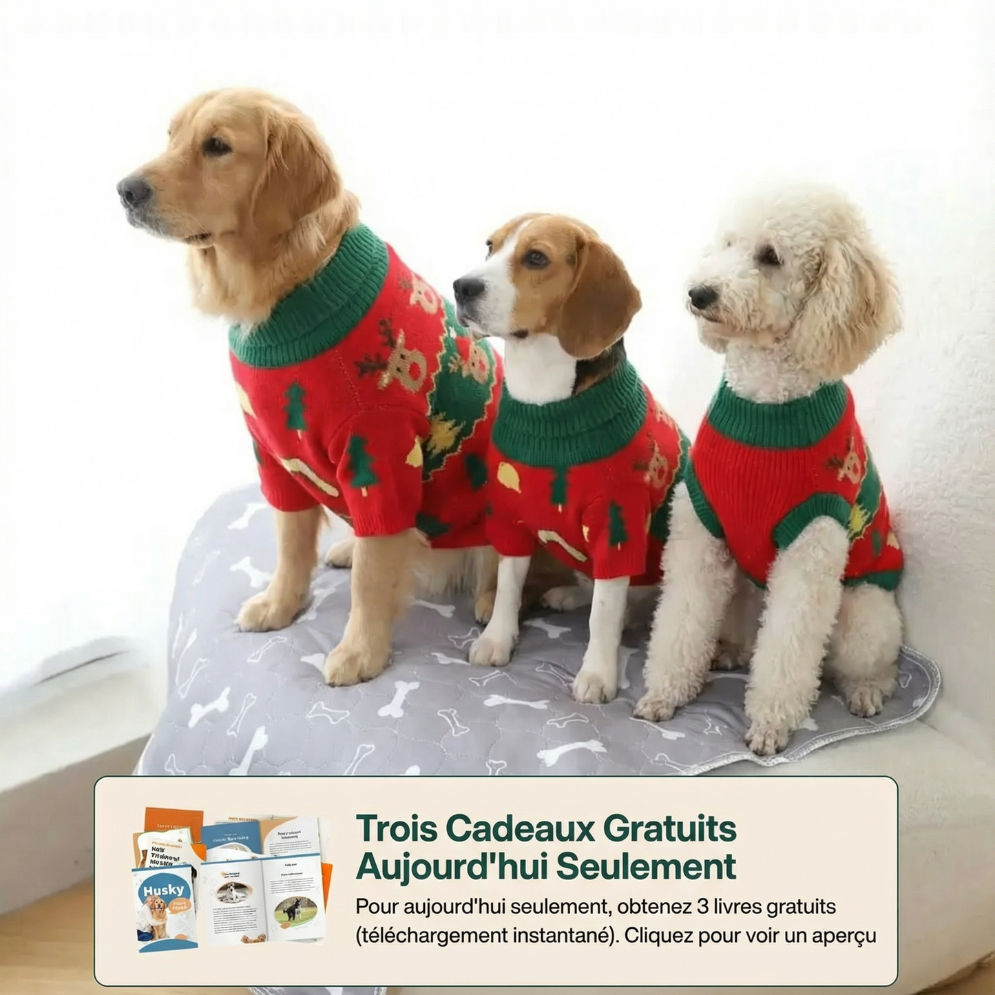 Le tapis réutilisable Puppy Care, sans odeurs ni fuites.